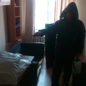 Уничтожение тараканов в квартире с гарантией в Твери